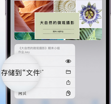 长子apple维修中心分享iPhone文件应用中存储和找到下载文件