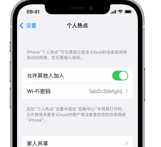 长子apple服务站点分享iPhone上个人热点丢失了怎么办 