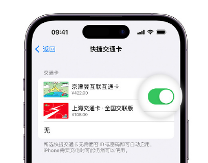 长子apple维修点分享iPhone上更换Apple Pay快捷交通卡手绘卡面 