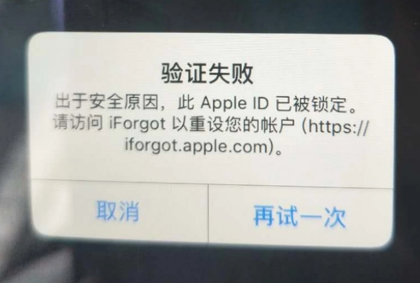 长子iPhone维修分享iPhone上正常登录或使用AppleID怎么办 