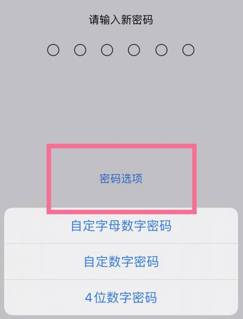 长子苹果14维修分享iPhone 14plus设置密码的方法 