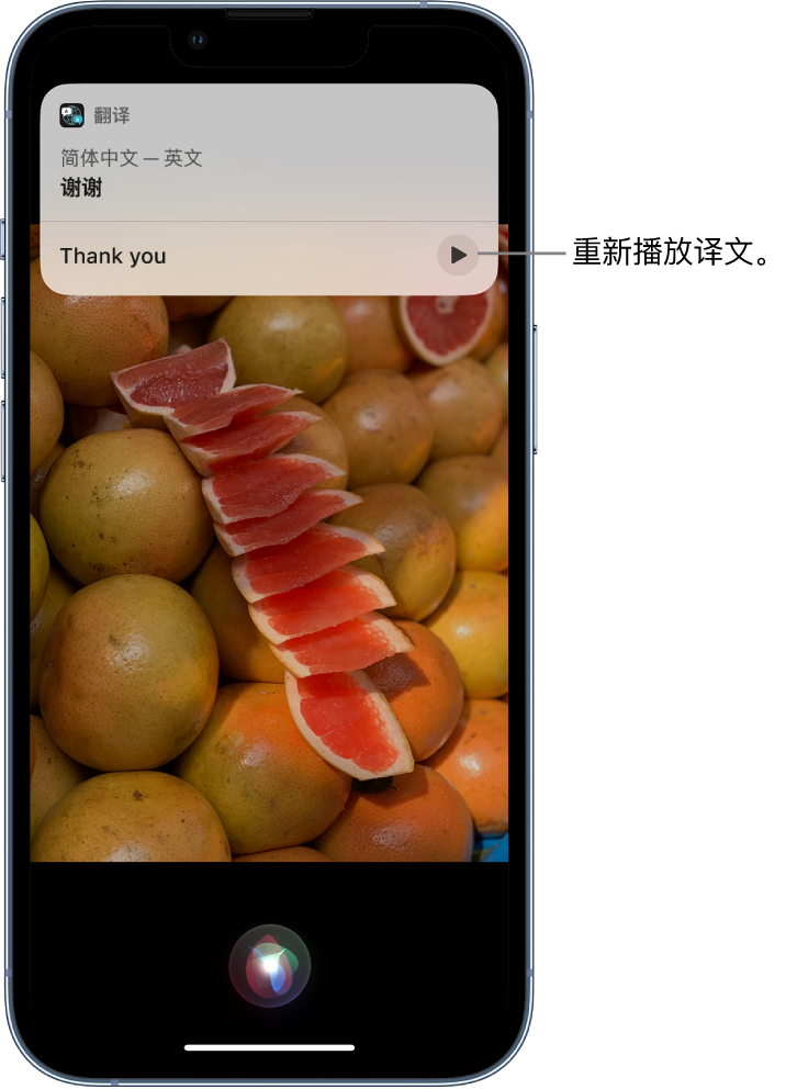 长子苹果14维修分享 iPhone 14 机型中使用 Siri：了解 Siri 能帮你做什么 