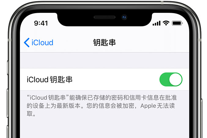 长子苹果手机维修分享在 iPhone 上开启 iCloud 钥匙串之后会储存哪些信息 