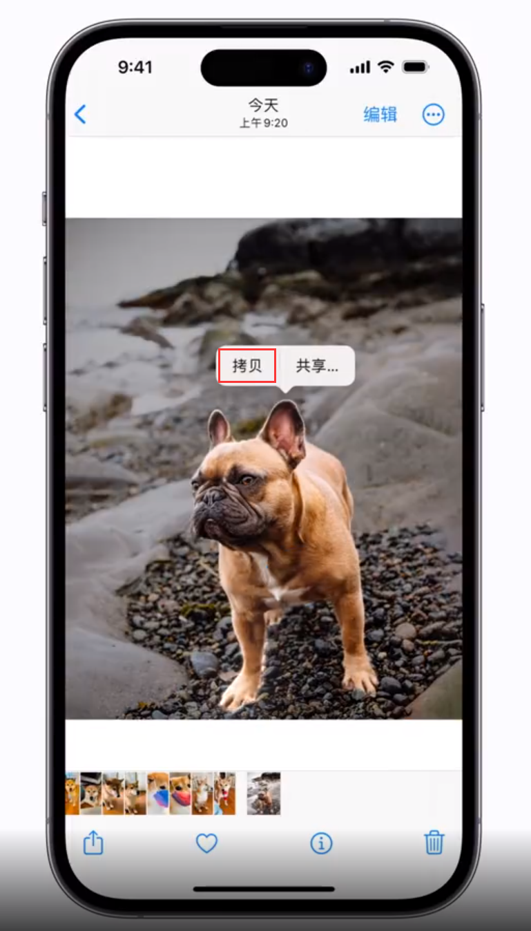 长子苹果手机维修分享 iOS 16 自带一键抠图功能 