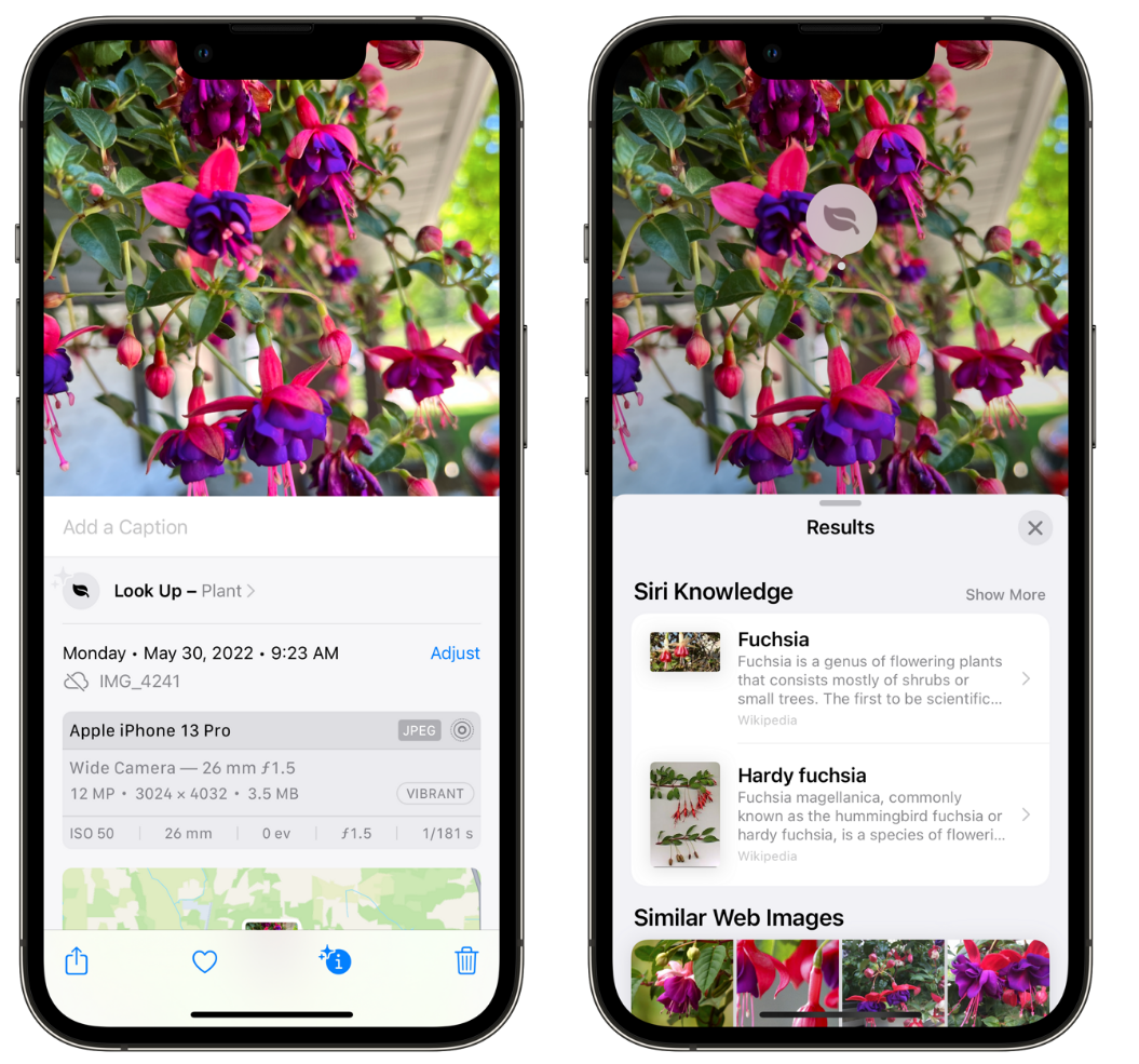 长子苹果手机维修分享小技巧：使用 iPhone 相机识别花卉植物 