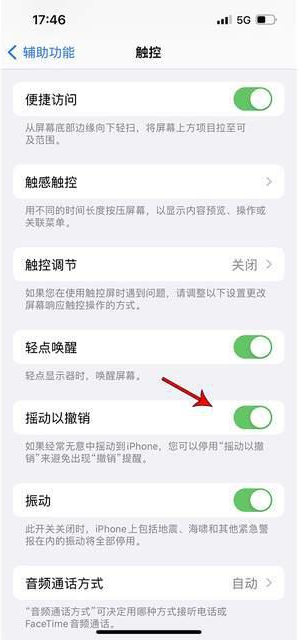 长子苹果手机维修分享iPhone手机如何设置摇一摇删除文字 