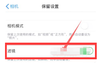 长子苹果13维修分享iPhone13拍照有绿点是怎么回事 