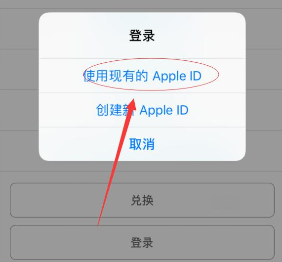 长子苹果手机维修分享两台iPhone设备可以同时登录一个Apple ID吗 