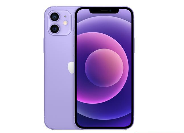 长子苹果手机维修分享现阶段要不要入手紫色版iPhone12 