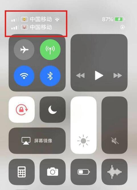 长子苹果手机维修分享为 iPhone 12 双卡设置标签 