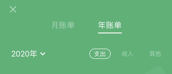 长子苹果手机维修分享如何在 iPhone 上查看支付宝和微信年支出账单 
